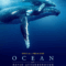 Ocean with David Attenborough (2025) บรรยายไทย