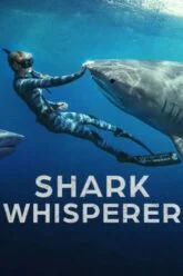 Shark Whisperer คนรักษ์ฉลาม