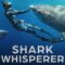 Shark Whisperer คนรักษ์ฉลาม