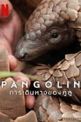 Pangolin Kulu s Journey การเดินทางของคูลู (2025) NETFLIX บรรยายไทย